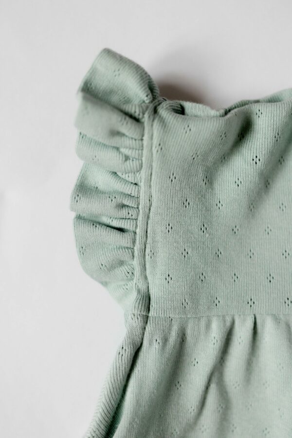 ALBA POINTELLE CÉLADON