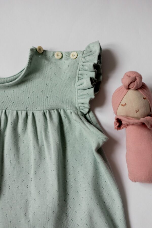 ALBA POINTELLE CÉLADON