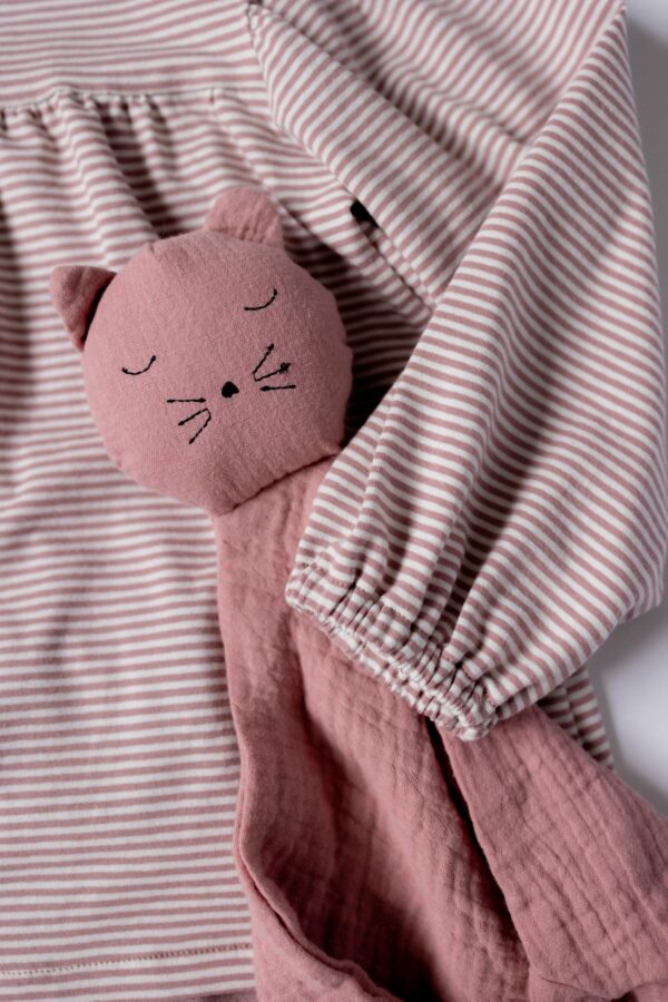 ALBA rayé rose +velours