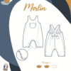 MERLIN
